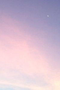 AC米兰破敌先锋，势如破竹