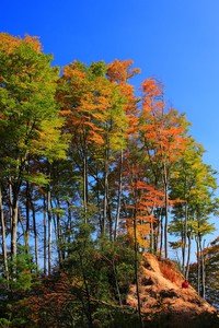 那不勒斯全队备战罗马的挑战