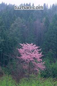 布赖顿清洗全新对手，英超阵容再度调整