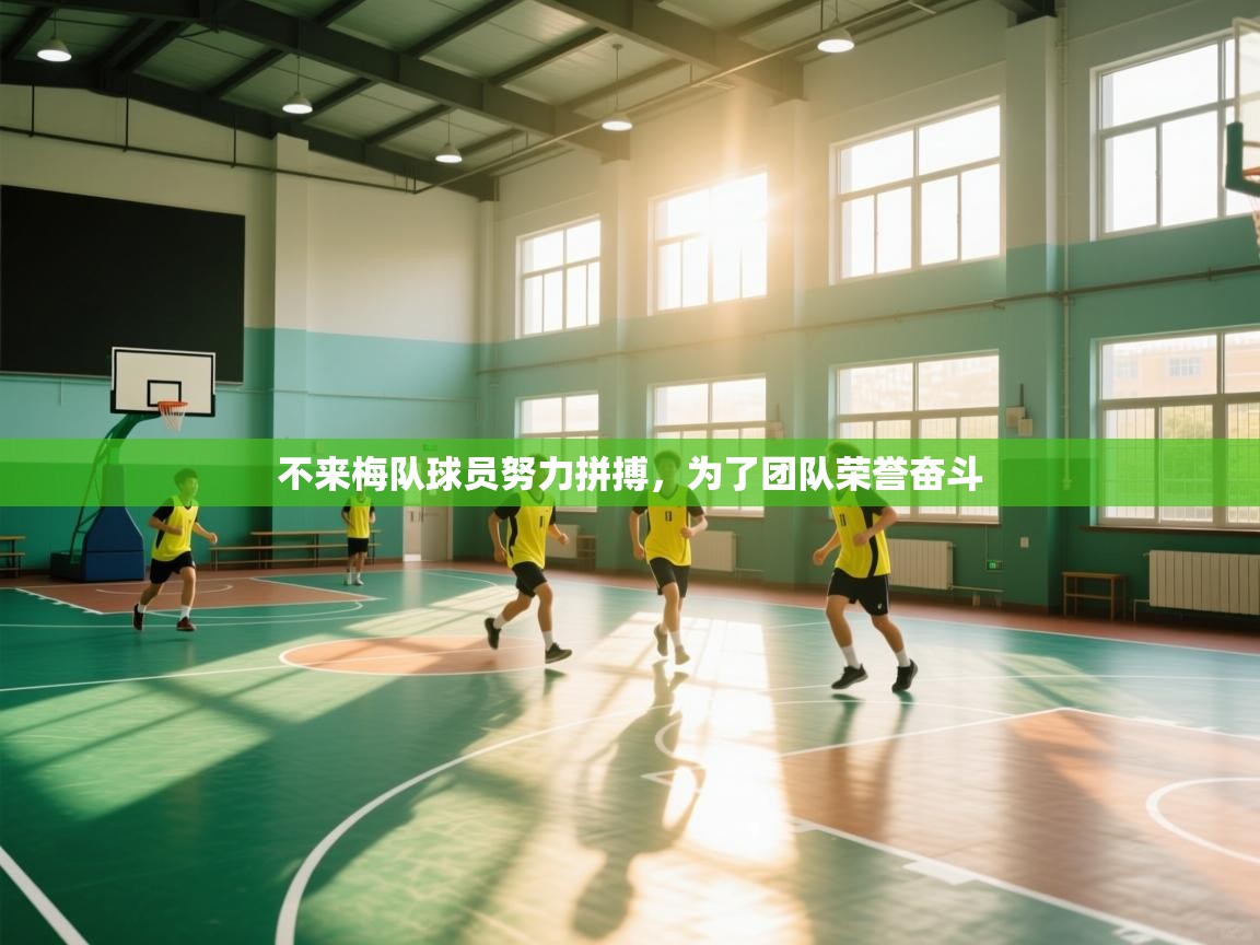 不来梅队球员努力拼搏,为了团队荣誉奋斗 第1张