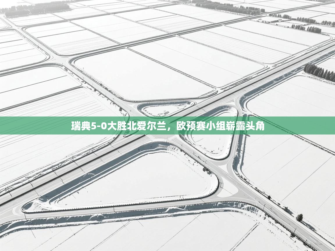 瑞典5-0大胜北爱尔兰，欧预赛小组崭露头角  第1张