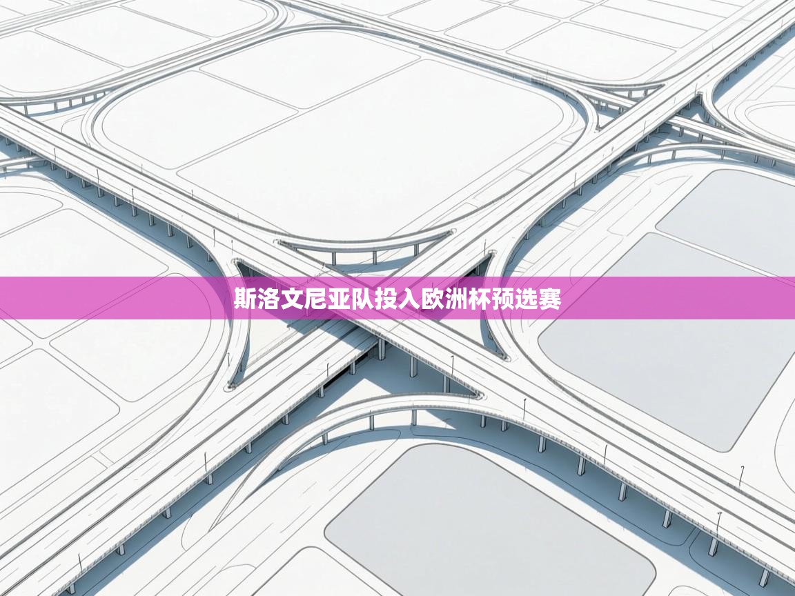 斯洛文尼亚队投入欧洲杯预选赛  第1张