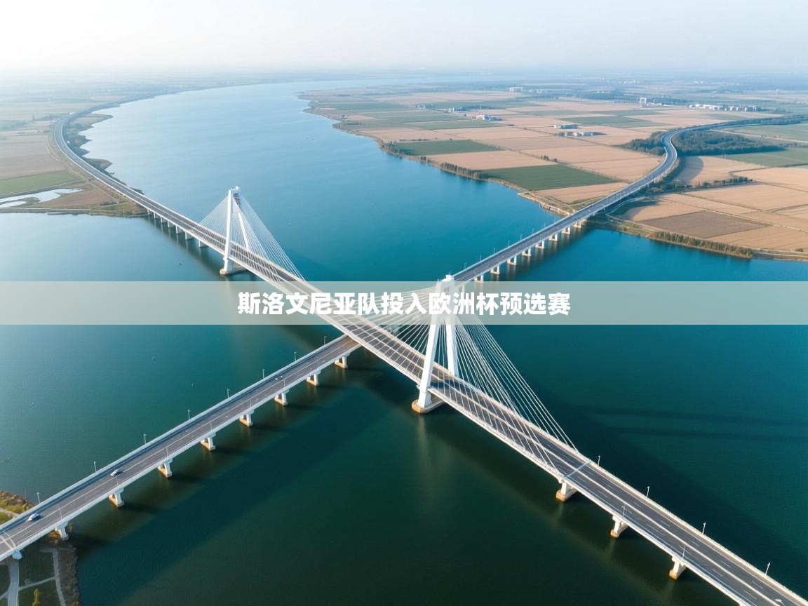 斯洛文尼亚队投入欧洲杯预选赛  第2张