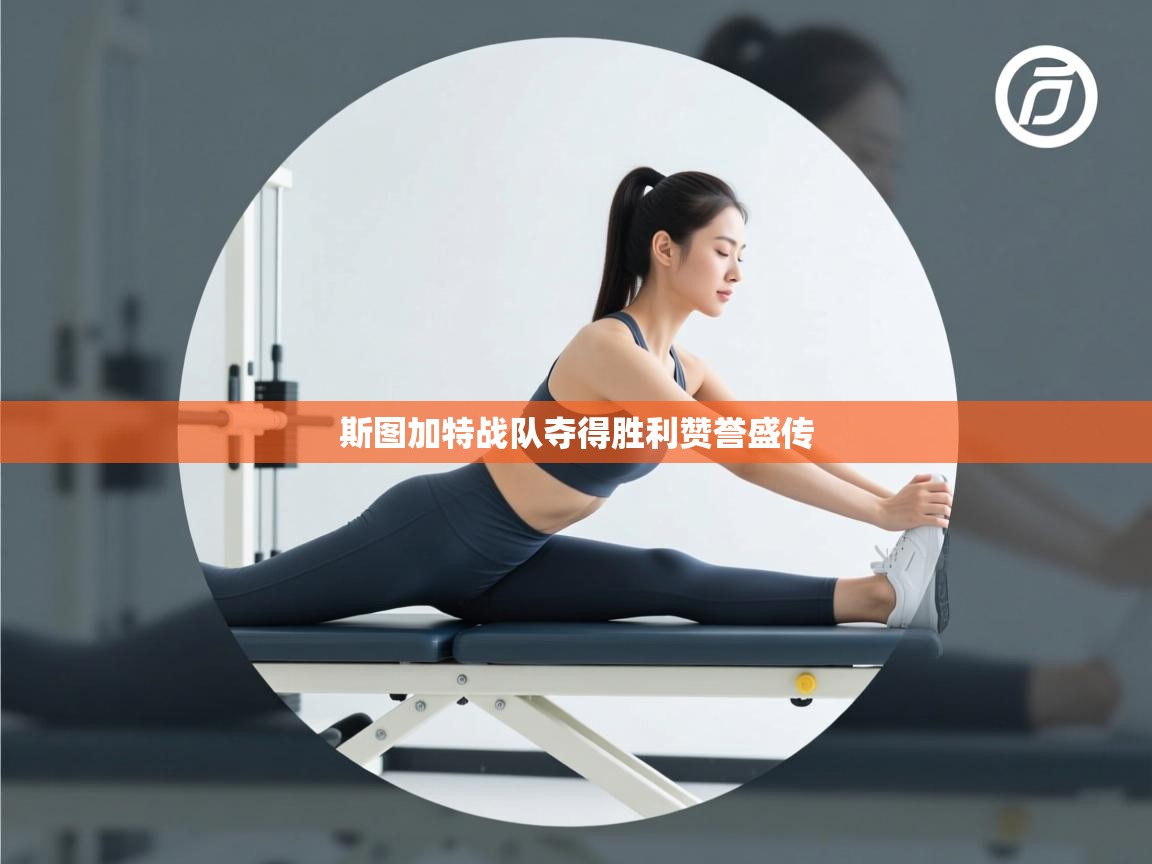 斯图加特战队夺得胜利赞誉盛传  第2张