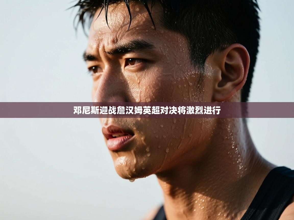 邓尼斯迎战詹汉姆英超对决将激烈进行