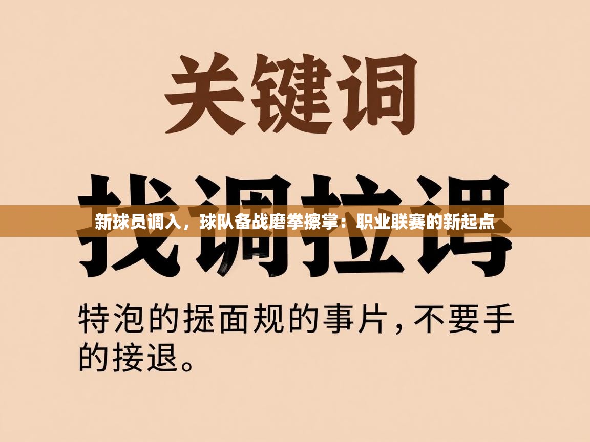 新球员调入，球队备战磨拳擦掌：职业联赛的新起点