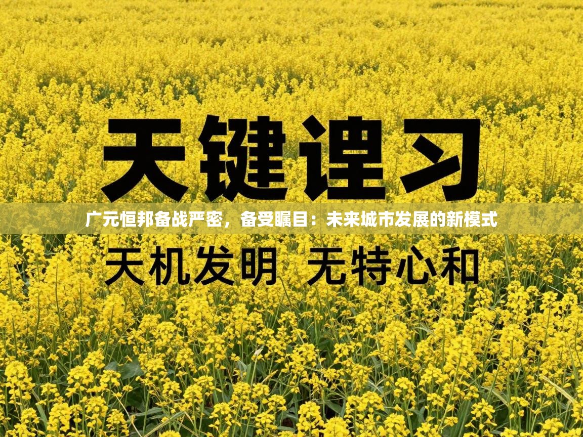 广元恒邦备战严密,备受瞩目:未来城市发展的新模式 第2张